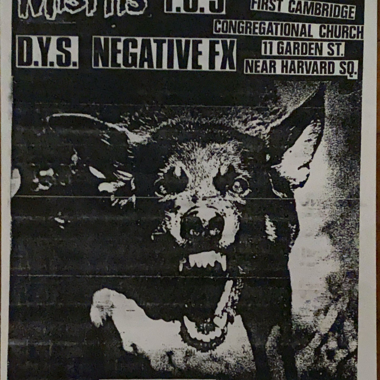 MISFITS D.Y.S. F.U.’s NEGATIVE FX Flyer